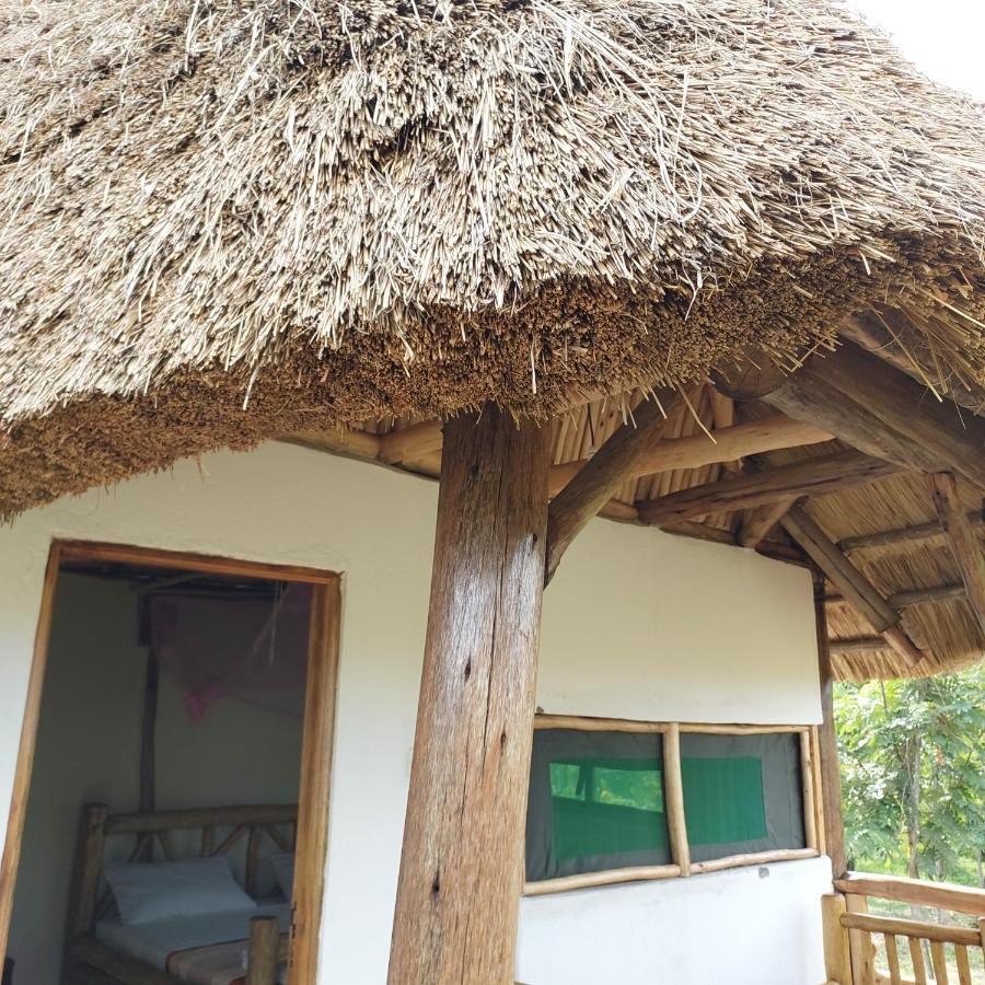 Songbird Safari Lodge & Campsite Katunguru Eksteriør billede