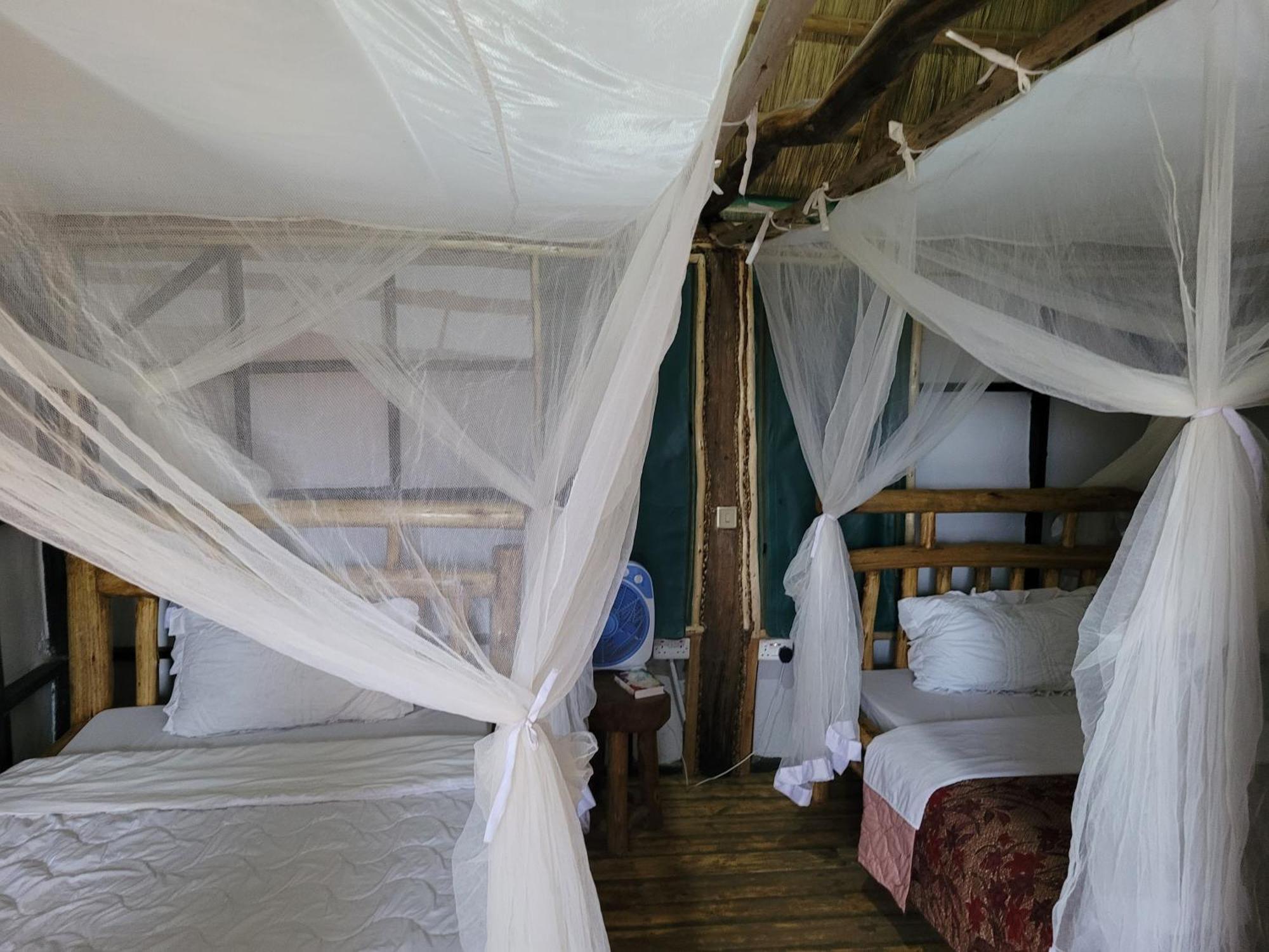 Songbird Safari Lodge & Campsite Katunguru Eksteriør billede